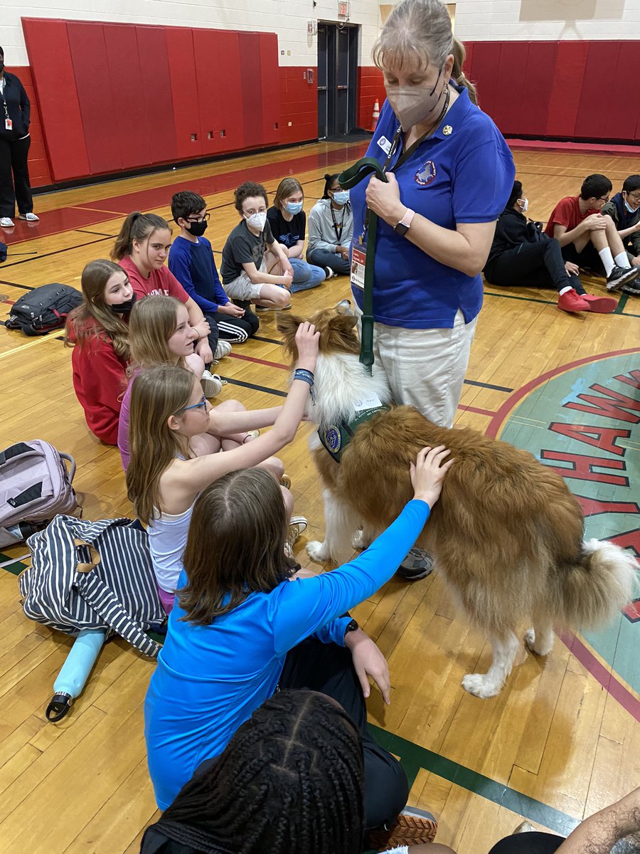 JulianPE tweet media