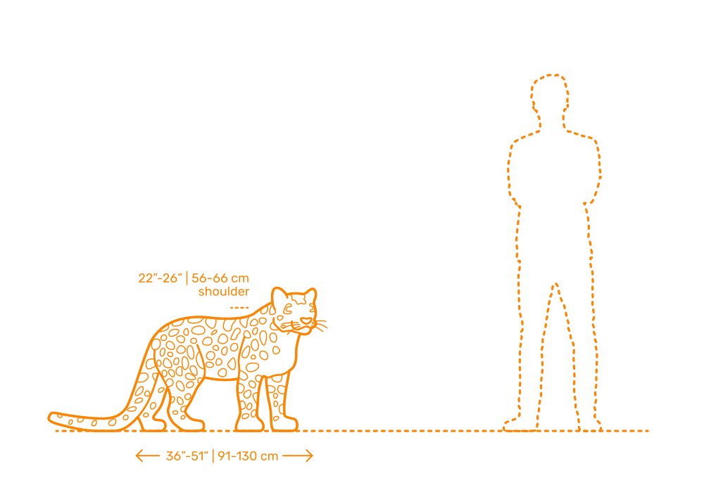 Dr. Wildlife @ Furnal Equinox tweet media