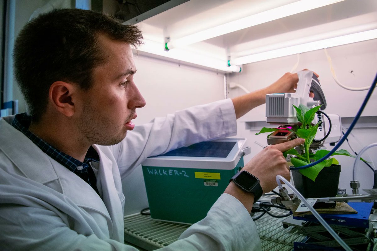 MSU-DOE Plant Research Laboratory (@msudoeplantlab) on Twitter photo On April 15 at 10:30am, graduate student <a href="/LukeMGregory/">Luke Gregory</a> from <a href="/BerkleyW6/">Berkley Walker</a>'s lab will be publicly presenting his dissertation proposal, "How does photorespiration beat the heat and maintain photosynthesis at elevated temperatures?" Email Luke for more information, grego215@msu.edu. On April 15 at 10:30am, graduate student <a href="/LukeMGregory/">Luke Gregory</a> from <a href="/BerkleyW6/">Berkley Walker</a>'s lab will be publicly presenting his dissertation proposal, "How does photorespiration beat the heat and maintain photosynthesis at elevated temperatures?" Email Luke for more information, grego215@msu.edu.
