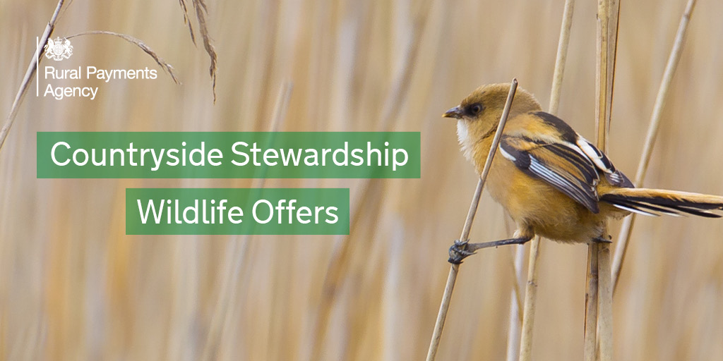 Ruralpay's tweet photo. Do you run a mixed farm and want to support your natural environment?

Take a look at the options available for the #CountrysideStewardship Mixed Farming offer, one of four Wildlife Offers available. Find out more:https://t.co/hKbIv6s1bN https://t.co/7FHkNM7xkf