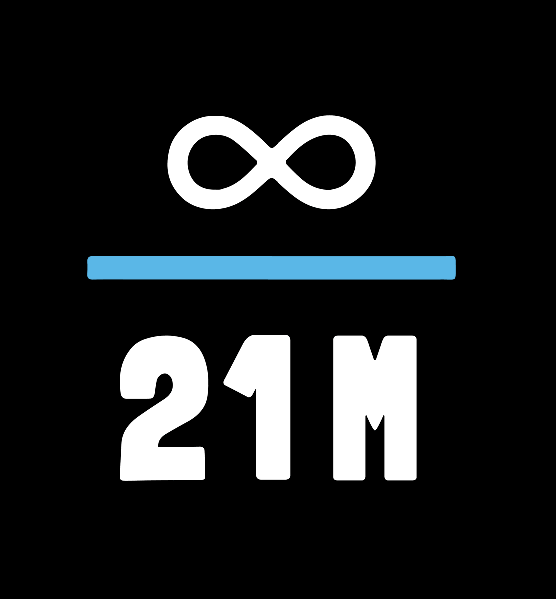 Knut Svanholm ∞/21M tweet media