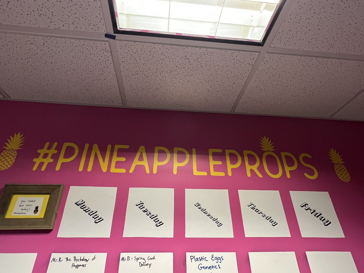 jenifer_rayne's tweet photo. Loved checking out @AmandaLKrantz’s lesson on genetics. Thanks for posting on the #PineappleChart!! There will be a coupon in your bucket for the candy cart! @McGinnis815 @WorcesterSystem https://t.co/Wz794ynehw