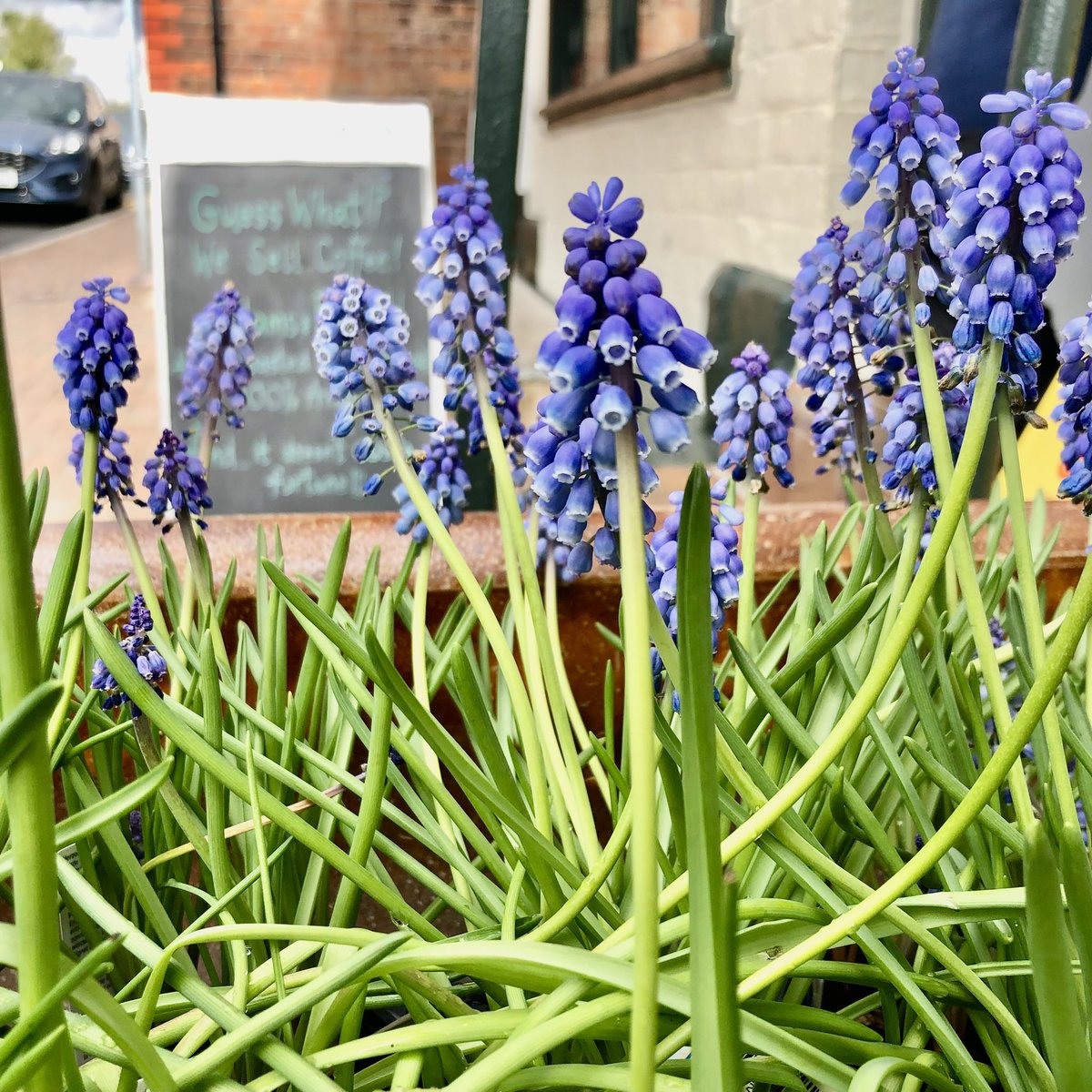 holly_ffi's tweet photo. Oh how I miss living in Hoole! What a superb suburb ๐ Letโs keep supporting our beautiful little independents & communities in and around Chester!
Pictured: Little Yellow Pig brunch. Hoole Food Market flowers. Bricklands Fish. Deli-Vert & Fresh of Chester hyacinth. #MakeChester https://t.co/AbyrmdLzvH