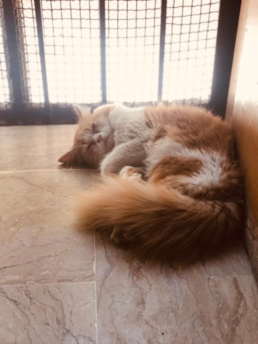 Huzaifa Alam tweet media