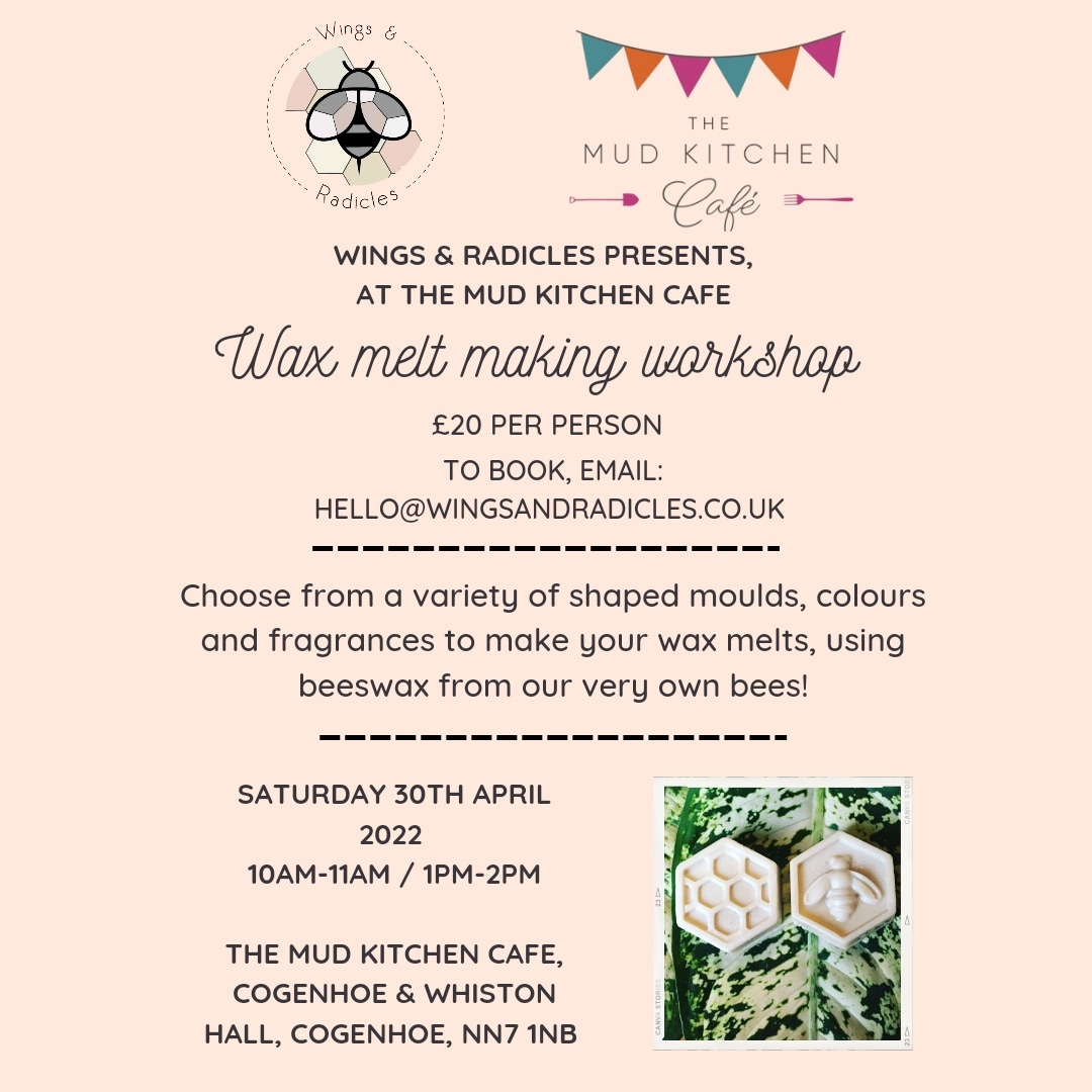 ANNOUNCEMENT 🎉 Wings &amp; Radicles are now hosting #waxmelt making workshops! 

To book: hello@wingsandradicles.co.uk 
07483 842535 

See you there! 
Saturday 30th April 
10am-11am or 1pm-2pm 

#beeswax #beeswaxmelts #waxmeltmaking #uniquegiftideas #beekeeper #Northants #Cogenhoe