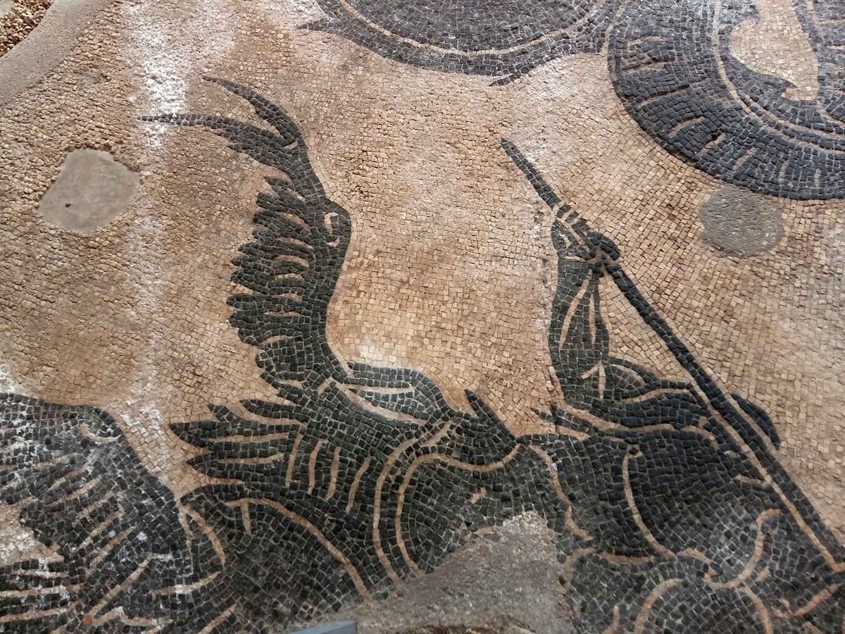 Museo di Bevagna tweet media