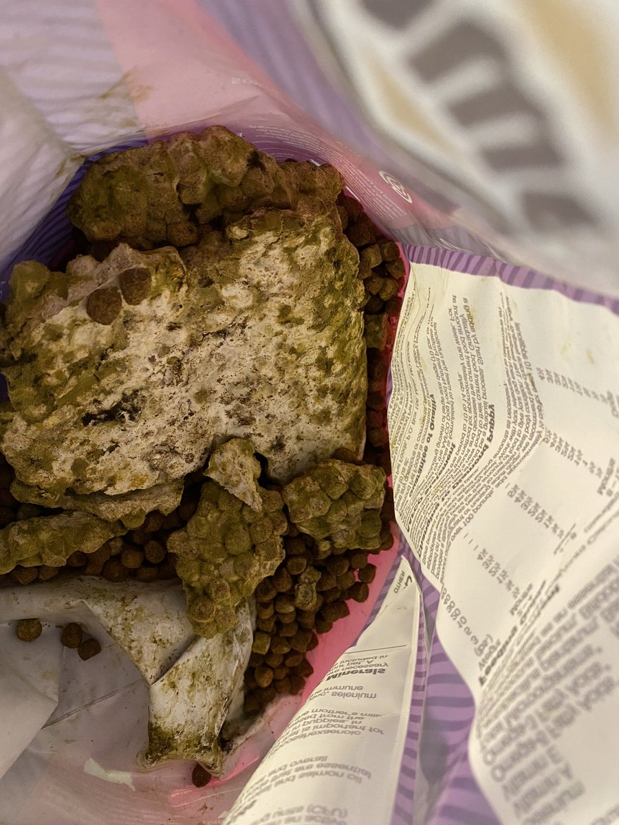 candigirl615's tweet photo. @DiamondPetFood ARE YOU FUCKING KIDDING ME???? THIS SHIT IS NOT COOL!! THIS CAN KILL MY FUCKING BABIES!!!! #UkraineWar #Russia #Dog #foodcrisis #TaketheL #nsfwtwt #NewProfilePic @bluebuffalo @BlueWilderness_ y’all see this shittttttt!!! https://t.co/VSXW7GrD8Z