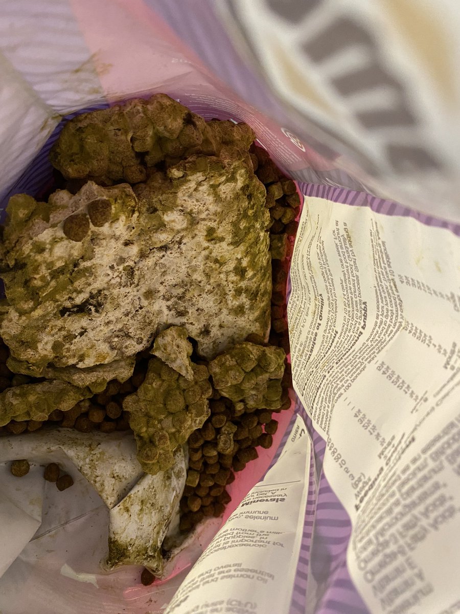 candigirl615's tweet photo. @DiamondPetFood ARE YOU FUCKING KIDDING ME???? THIS SHIT IS NOT COOL!! THIS CAN KILL MY FUCKING BABIES!!!! #UkraineWar #Russia #Dog #foodcrisis #TaketheL #nsfwtwt #NewProfilePic @bluebuffalo @BlueWilderness_ y’all see this shittttttt!!! https://t.co/VSXW7GrD8Z
