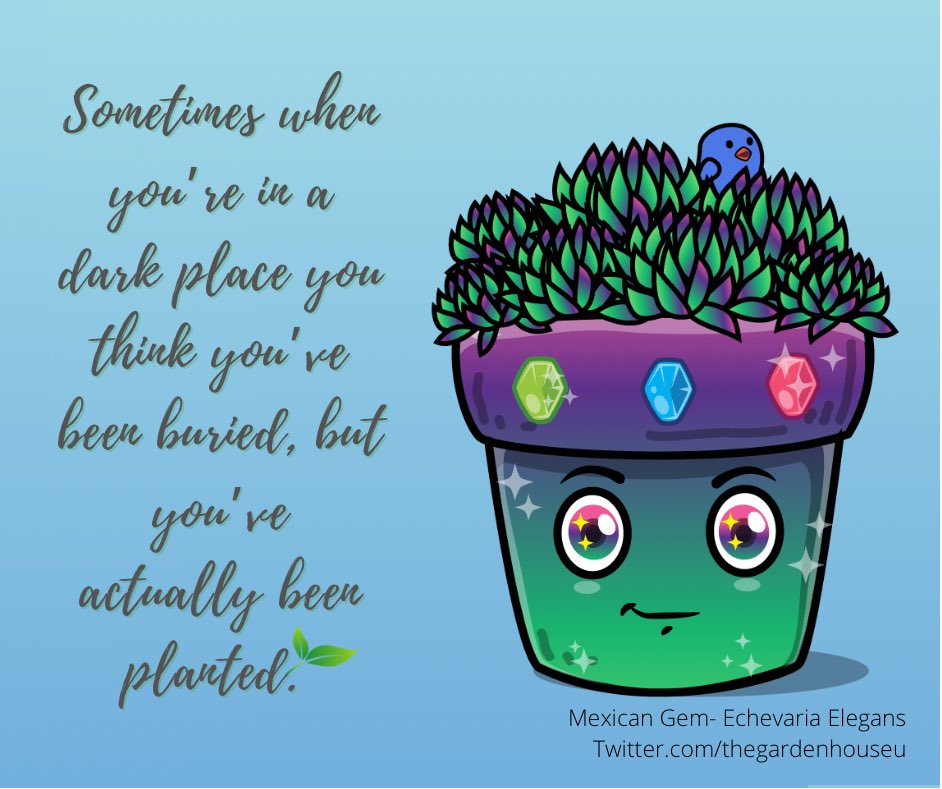 #growwithus #sillysucculents #succulent #NFTCollection #NFTs #plantnft #WomenInNFT #cryptoart 

opensea.io/assets/matic/0…