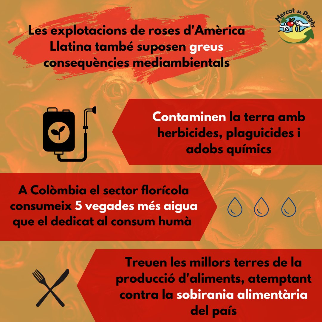 MercatDePages's tweet photo. A #MercatdePagès diem NO a les roses de Sant Jordi: 
· El 90% de les roses provenen de Colòmbia, Equadors, Holanda i Kènia
· Aquest transport innecessari de roses contribueix a l'escalfament del planeta
· El sector florícola contamina la terra amb l'ús d'herbicides i plaguicides. https://t.co/9GUiPjsbqK