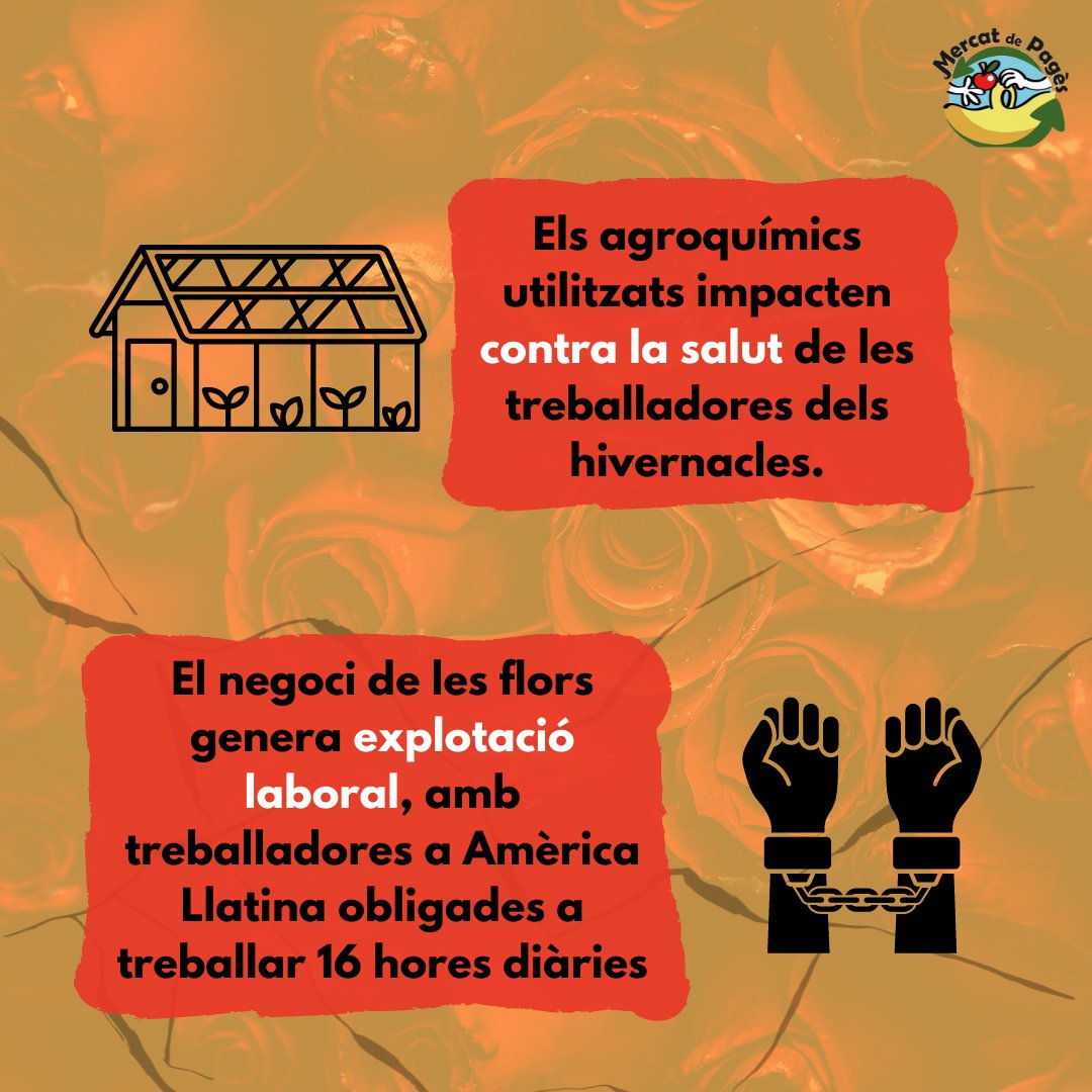 A #MercatdePagès diem NO a les roses de Sant Jordi: 
· El 90% de les roses provenen de Colòmbia, Equadors, Holanda i Kènia
· Aquest transport innecessari de roses contribueix a l'escalfament del planeta
· El sector florícola contamina la terra amb l'ús d'herbicides i plaguicides.
