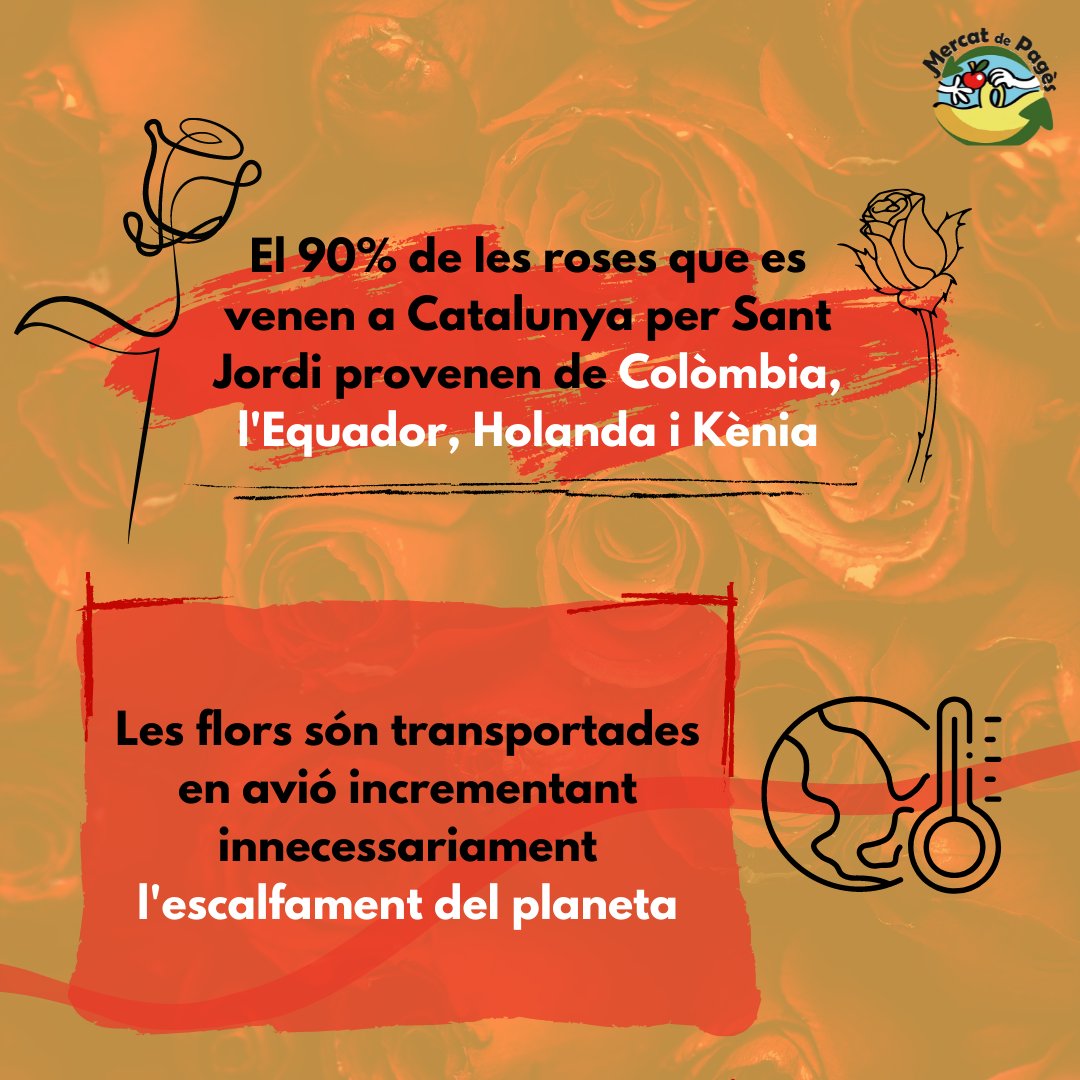 MercatDePages's tweet photo. A #MercatdePagès diem NO a les roses de Sant Jordi: 
· El 90% de les roses provenen de Colòmbia, Equadors, Holanda i Kènia
· Aquest transport innecessari de roses contribueix a l'escalfament del planeta
· El sector florícola contamina la terra amb l'ús d'herbicides i plaguicides. https://t.co/9GUiPjsbqK