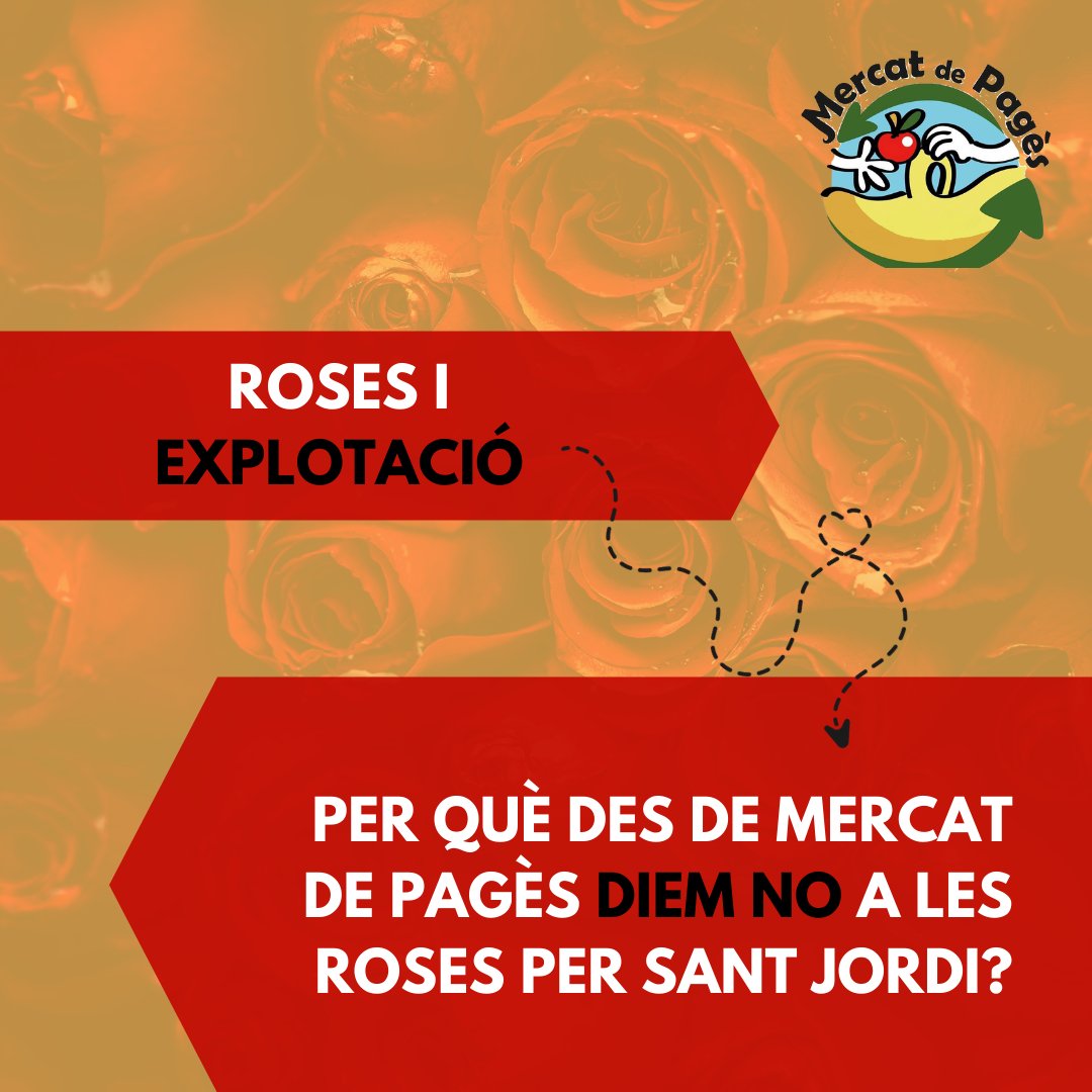 MercatDePages's tweet photo. A #MercatdePagès diem NO a les roses de Sant Jordi: 
· El 90% de les roses provenen de Colòmbia, Equadors, Holanda i Kènia
· Aquest transport innecessari de roses contribueix a l'escalfament del planeta
· El sector florícola contamina la terra amb l'ús d'herbicides i plaguicides. https://t.co/9GUiPjsbqK