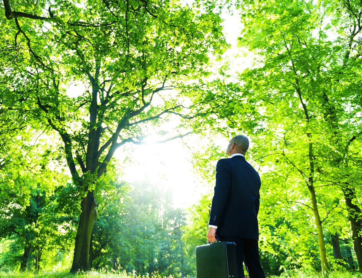lexmark's tweet photo. When it comes to sustainability, print is often a missed opportunity. Find out how Lexmark can help your business reduce its impact on the environment and improve your bottom line: https://t.co/PRocAwgHqN #CSR #Sustainability https://t.co/oth2zsNkEe