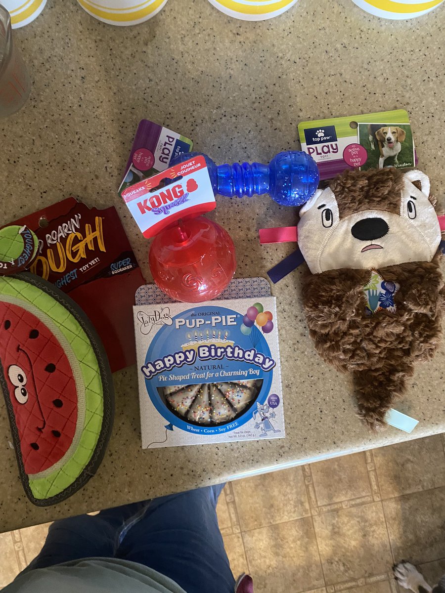 Today Humphrey is 2 yrs old! Happy birthday sweet boy!🎉