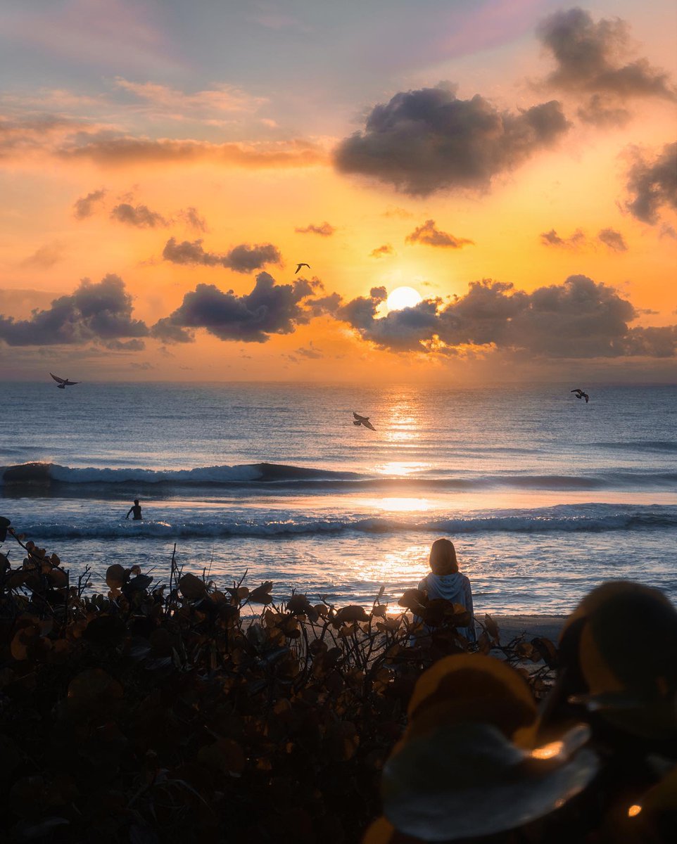 That moment when the sun hits just right...🤩 
#ThePalmBeaches 

📸 <a href="/ArnisBrown/">ᴀʀɴɪs ʙʀᴏᴡɴ</a>