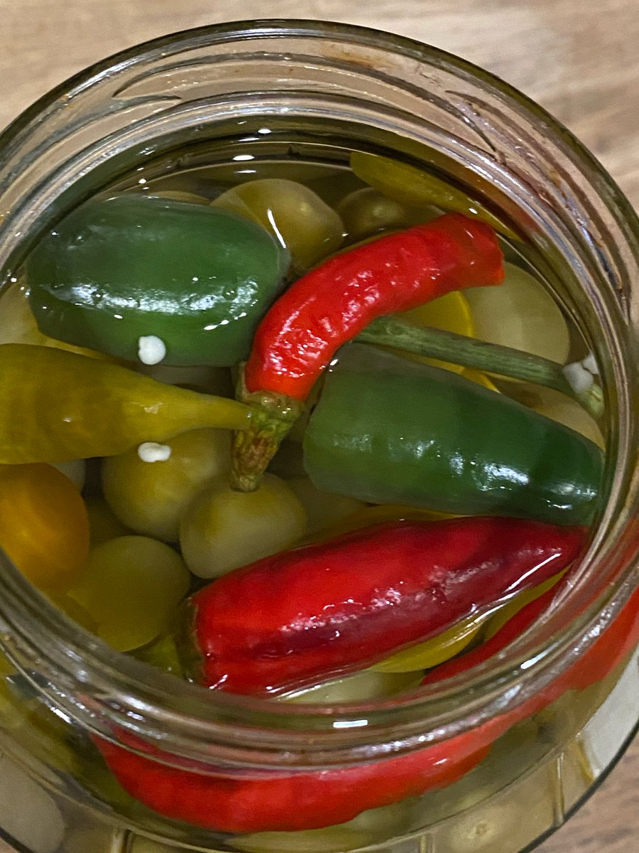 helloluxx tweet media