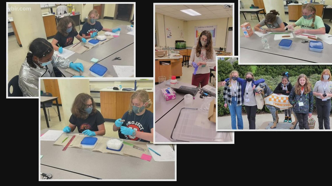 NCSSS_STEM's tweet image. A #scientist at the @ORNL is working to help get #underservedstudents in TN interested in pursuing careers in #STEMfields through a non-profit youth outreach organization she founded. "Nerds make money! Be a nerd all day long." ow.ly/af4950IA5OO @Yo_STEM #STEMmentor #STEMed