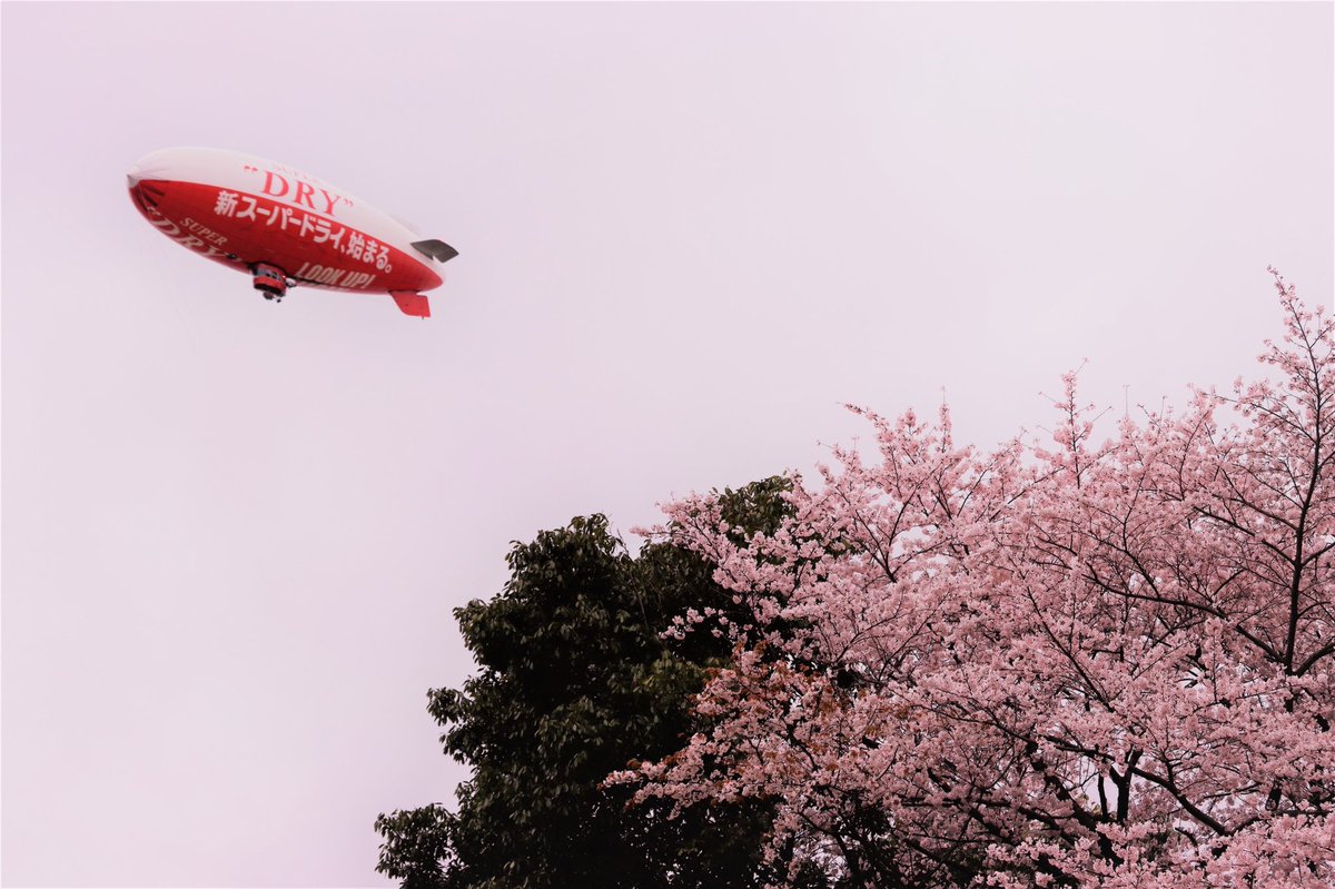AirSign's tweet photo. Spring is in the air in Japan, and so is our blimp! Thank you to all the fans who took these wonderful photos! 🌸📸 #cherryblossoms #SuperDry #AirSign

Photo Credits: @Tinkmerry @naranto_valu @LisaxColors @yamasen_helium https://t.co/5jRFTKZixp