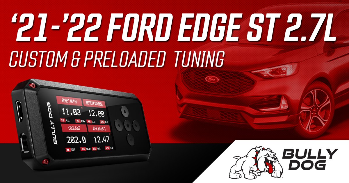 Bully Dog tweet media