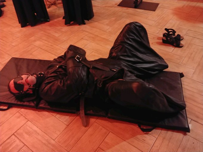 Taylor Dawn’s pics and videos