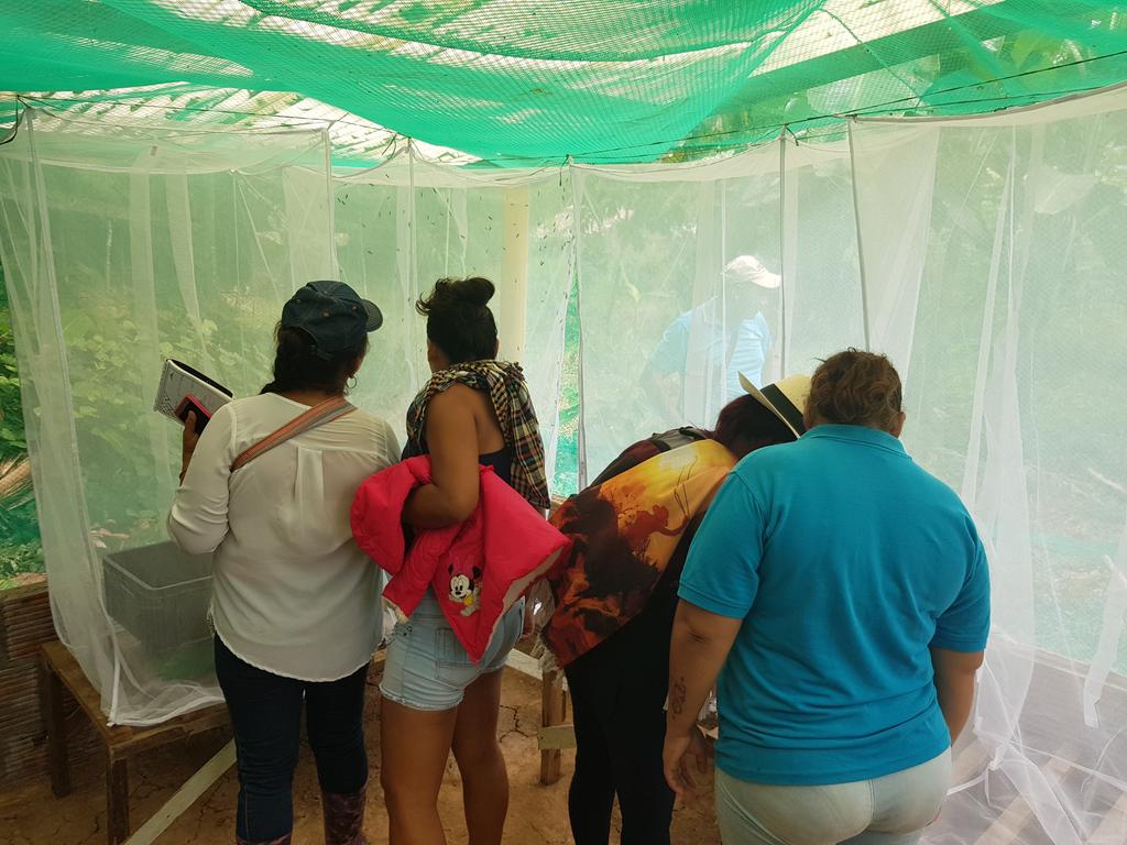 Karol_BarraFon's tweet photo. Curso de producción de mosca soldado negra con la asociación de mujeres por la paz en el Guaviare🐛🕊💪🏽 #InsectsForPeace #circulareconomy #Socialinnovation https://t.co/V8RrgAUuLA