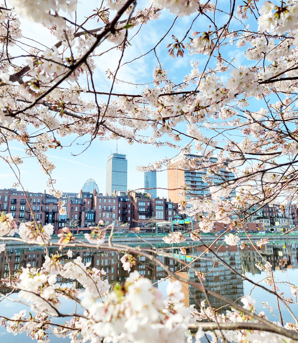 OnlyInBOS's tweet image. April views from Boston.

❤