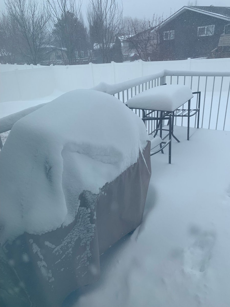 pamdechief's tweet photo. Cute dog. Short legs. Navigating the snow. @estevan #SKStorm #timeforpuppypads https://t.co/Ctibiwq4K7