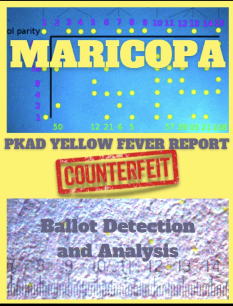 MontanaFinn's tweet photo. Some fraud is hard to detect. But it can be, thanks to #PKAD. Learn more at https://t.co/Phmv2wrSiV #JovanHPulitzer
#Fix2020 #Audit50 @brnoforaz @GeneralBrnovich @JenWEsq @FannKfann @SonnyBorrelli @stephen_richer @DonaldJTrumpJr @JovanHPulitzer @JosephJFlynn1 @KariLake @AZGOP https://t.co/i8LJnlUC3U