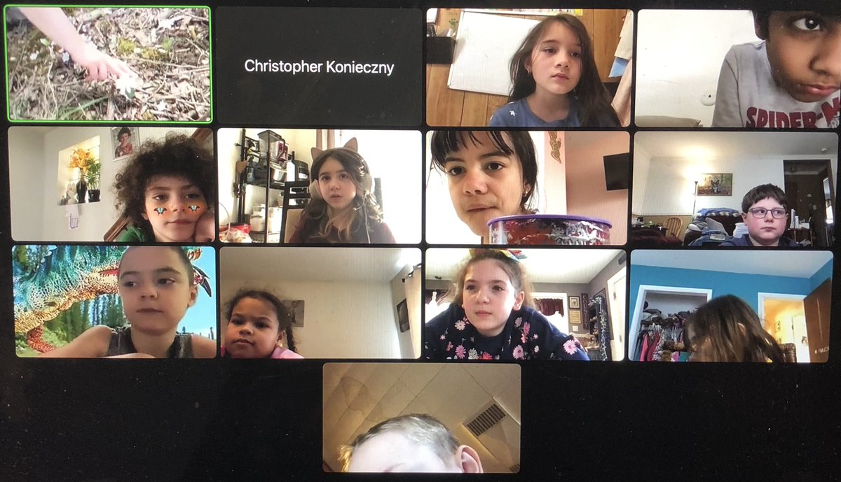 Virtual field trip to Pinchot today!  What’s beautiful day to see signs of spring!  #WestShoreProud