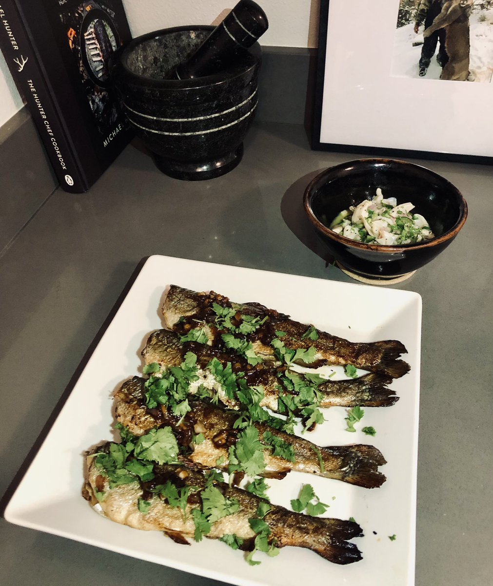 CSF_Keely's tweet photo. I’m always excited when I get to cook the food I harvest! Last night I made soy ginger trout & razor clam ceviche— all from last week’s harvests!
#FishWA #PNW @HunterandAngler https://t.co/JkSxhm9BOl