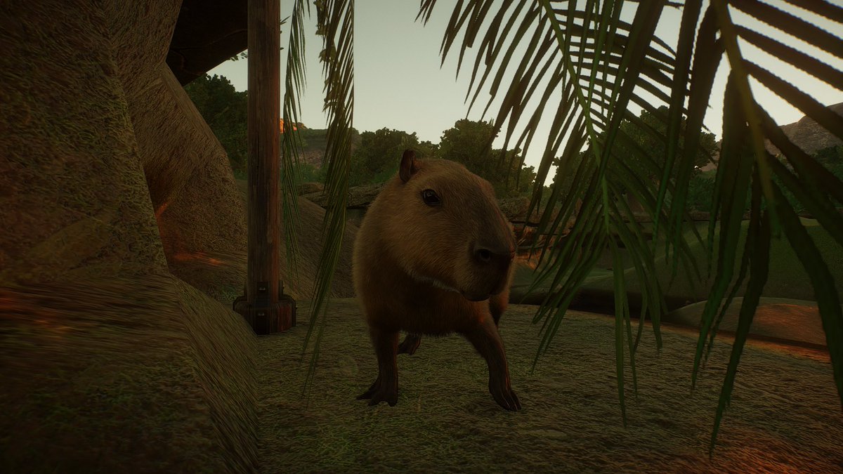 ViriCC_'s tweet photo. #Capylove <3
#PlanetZooGame #PlanetZoo @PlanetZooGame https://t.co/rwNBTWMNTH