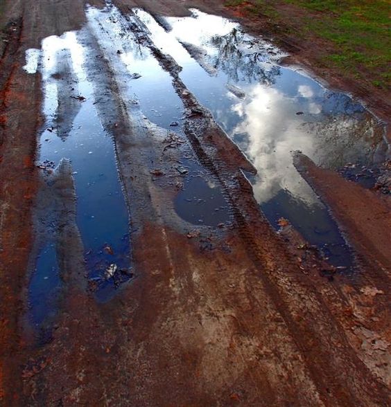 wandrstruckpoet's tweet photo. .

stars in the tire tracks
paths we took barefoot
when we were kids

.

#HaikuSeed (kids) #haiku #NPRPoetry #poetry #micropoetry https://t.co/5m35Zt0XRW