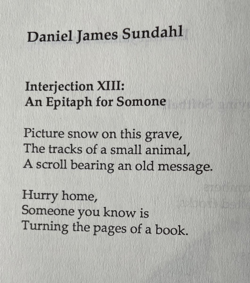 Huge Shark tweet media