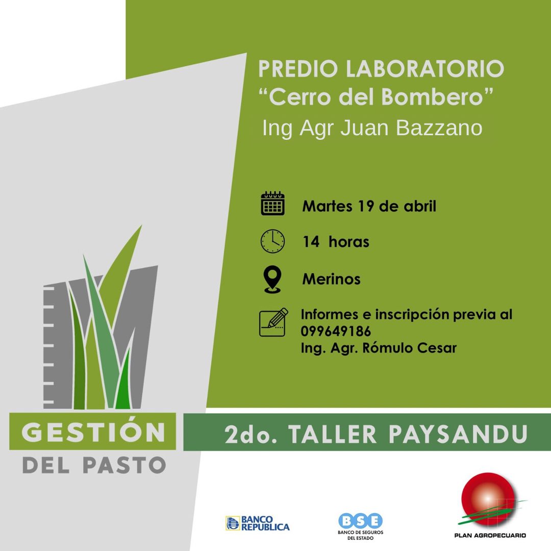 juan jose bazzano (@juanbazzano) on Twitter photo 