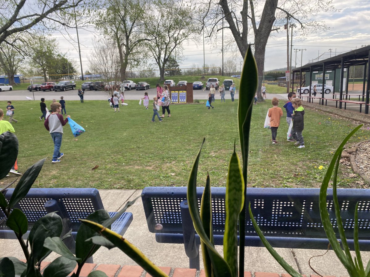 Working in my office in state testing documents, yet I am able to watch our precious Kinder kiddos hunt eggs on the front lawn. #roomwithaview #buildingtestingcoordinator #ParkViewPandas