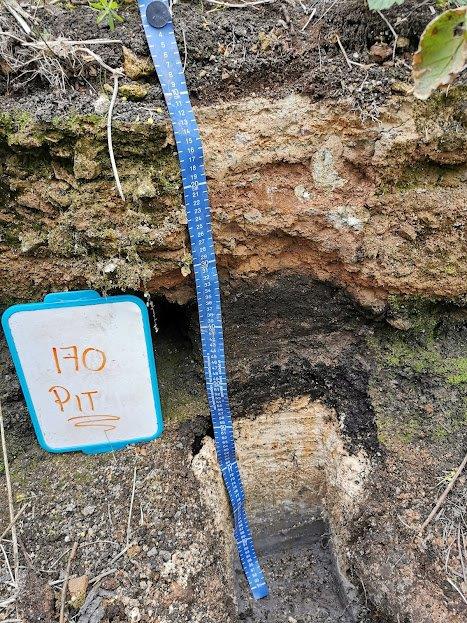 "Soil Profile from a research site in Pollagh.

0-12 cm; most recently formed soil, 12-34 cm; Iron-Rich hard pan, 34-60 cm; organic rich peat horizon, 60-85 cm; ‘Marl’, a calcareous limnic deposit formed post-glaciation, >85 cm; clay layer"