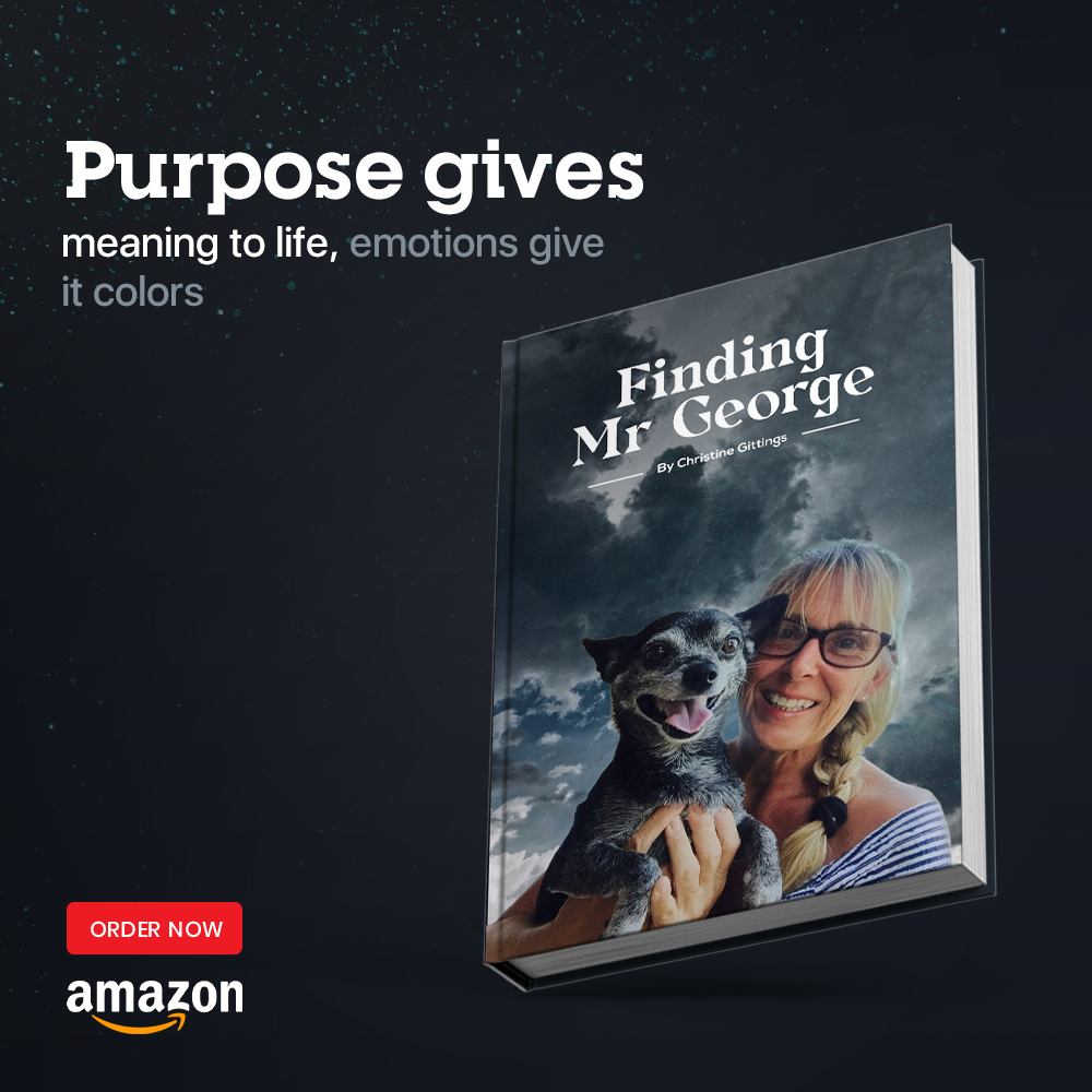 Finding Mr George tweet media