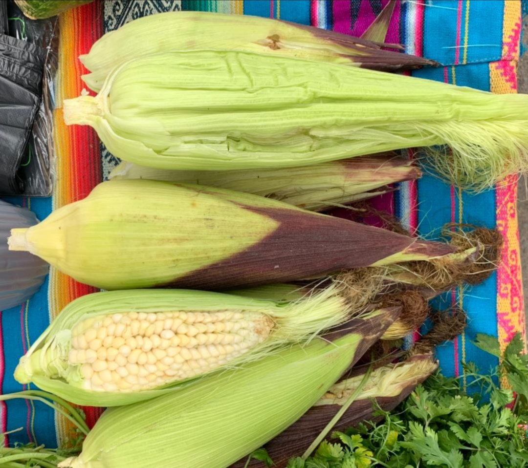 Agricultura_CZ1's tweet photo. HOY| Llevamos a cabo la Feria #SaboresYSaberes, un espacio de comercialización directo entre el productor y el consumidor, donde nuestros agricultores ofertan a la ciudadanía  productos de calidad y a los mejores precios. 
#PreparaTuFanesca
#AgriculturaFamiliarCampesina https://t.co/ALnrTjcwK2