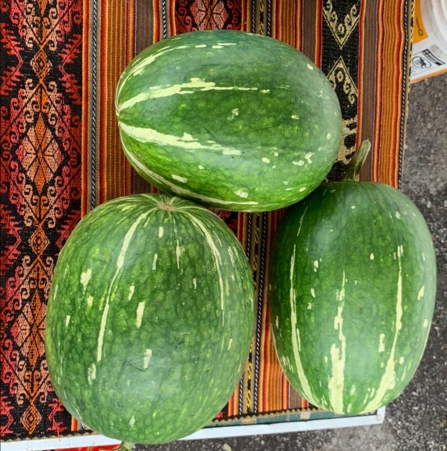 Agricultura_CZ1's tweet photo. HOY| Llevamos a cabo la Feria #SaboresYSaberes, un espacio de comercialización directo entre el productor y el consumidor, donde nuestros agricultores ofertan a la ciudadanía  productos de calidad y a los mejores precios. 
#PreparaTuFanesca
#AgriculturaFamiliarCampesina https://t.co/ALnrTjcwK2