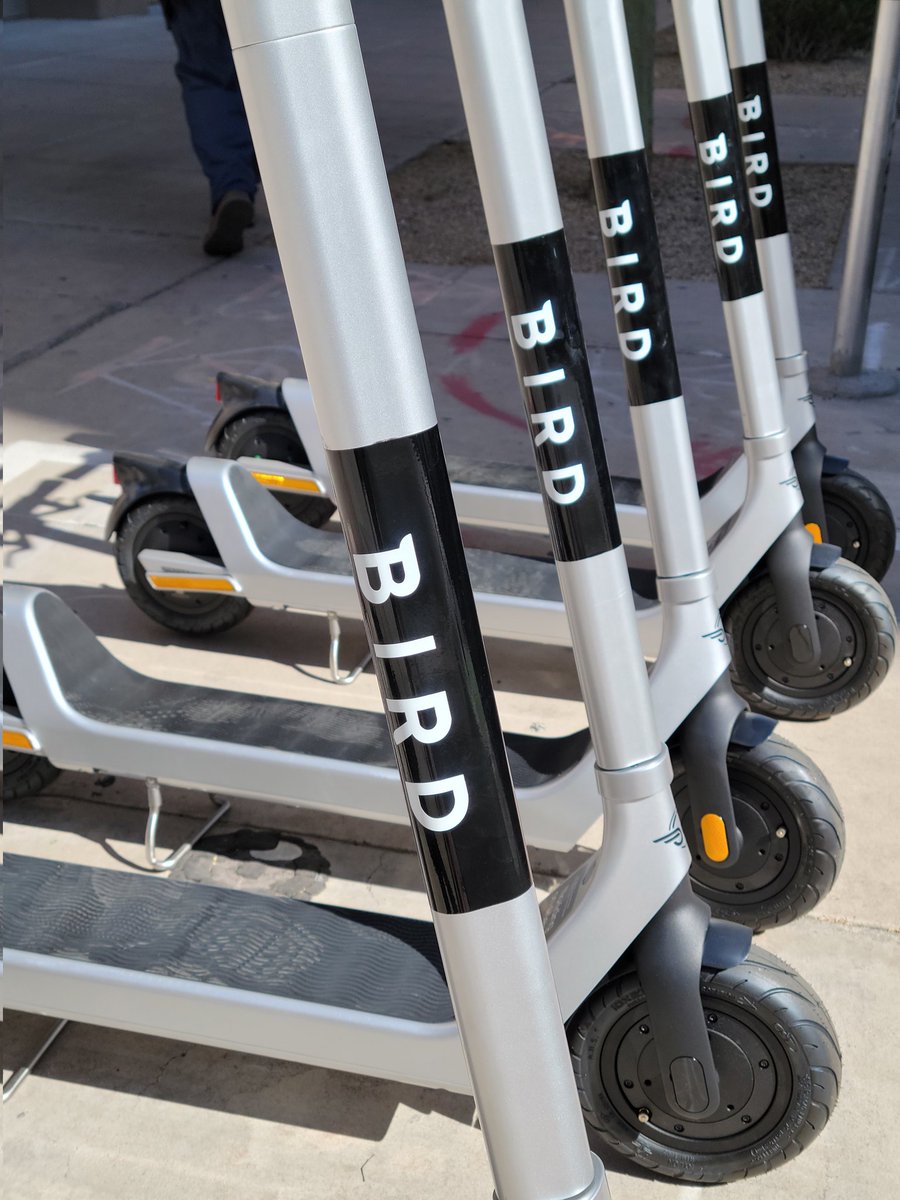 Yvette Roeder tweet media