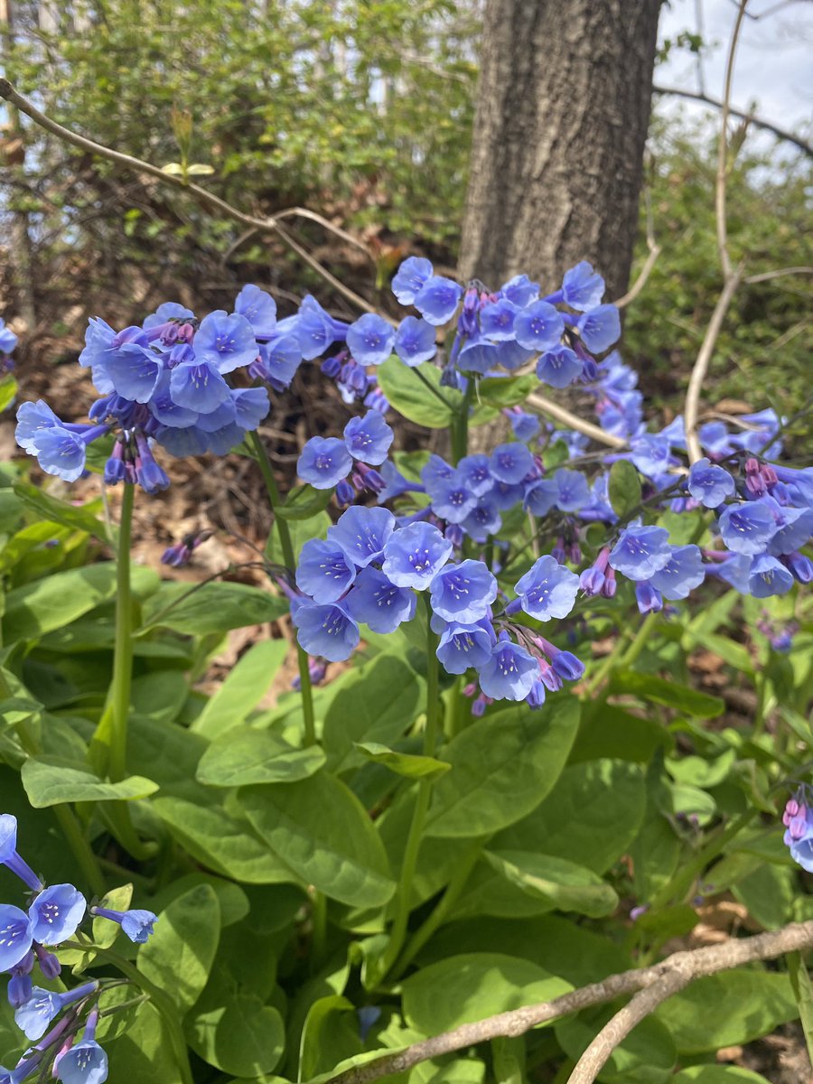We have spring!