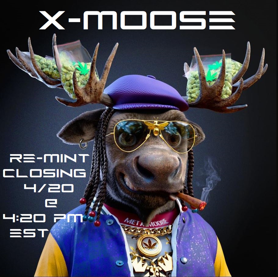 xmoosenft's tweet photo. 4/20 @ 4:20pm est⬅️

This is the date/time we are closing the Mint to our new contract! 

If you're a MetaMoose holder and you miss the deadline, you'll miss the chance to re-mint into X-Moose.
Your Metamoose will lose it's value

details➡️https://t.co/6Yj2F6wYMQ

#nft #metamoose https://t.co/19AVTSEdEF