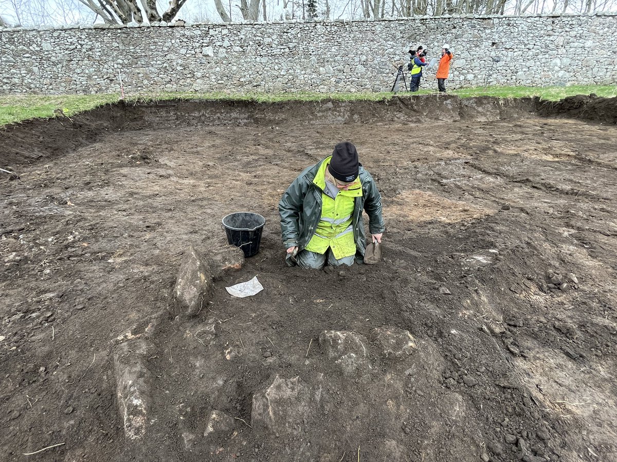 Cameron Archaeology tweet media