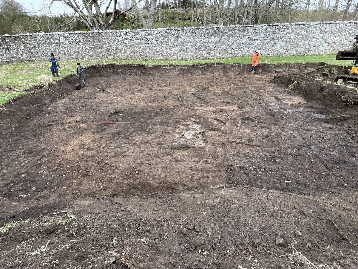 Cameron Archaeology tweet media