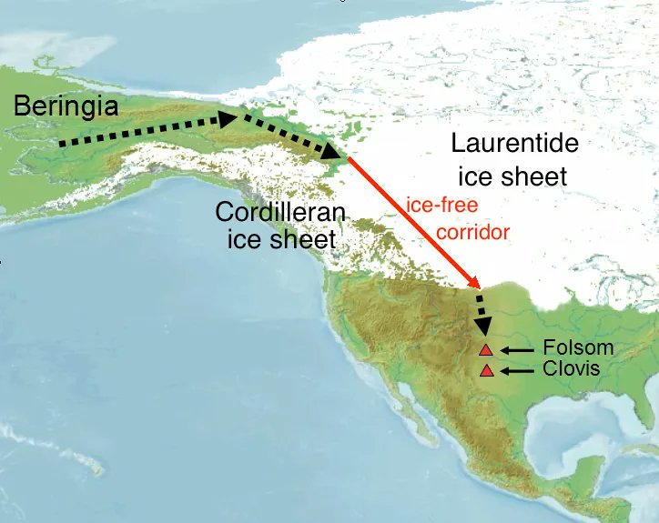tac_org's tweet photo. Evidence continues to mount against the "Clovis First" theory of early settlement into the Americas. Read more about the latest discoveries:
https://t.co/Nxr3jI2V3G
#Archaeology #PeoplingofAmericas #ClovisFirst #Debunked https://t.co/T06pwONzJn
