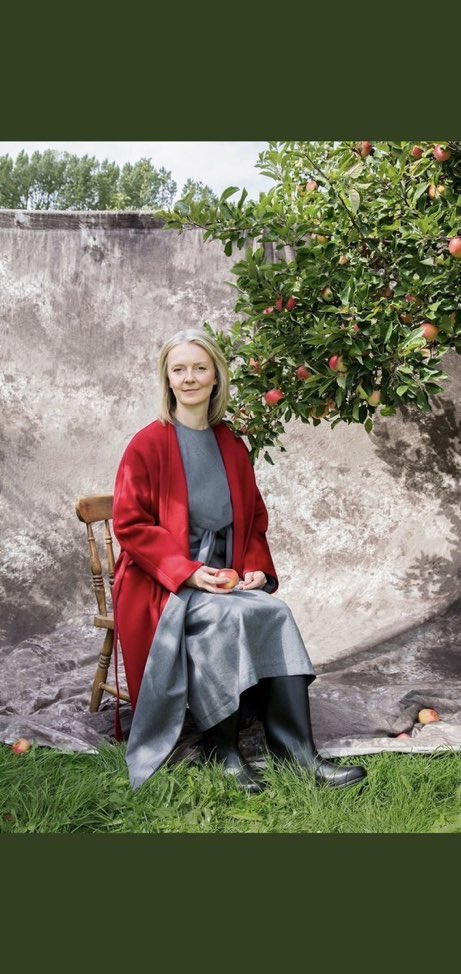 A farm from Bristol has been in touch offering us bittersweet cider apples at an unbelievable price. They sent us this photo, saying the orchard is looked after by a mysterious woman who hasn’t spoken for 100 years and just gazes into space…