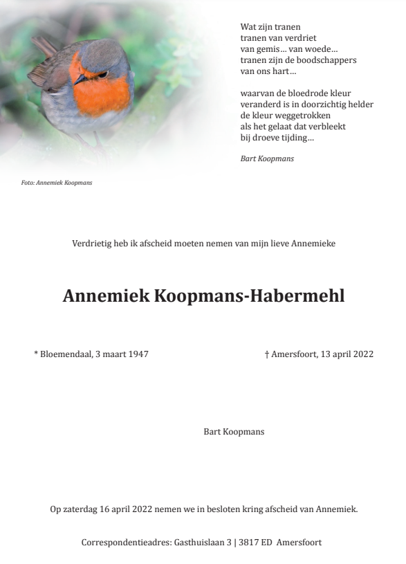 miek koopmans🐝 (@miekkoopmans) on Twitter photo 