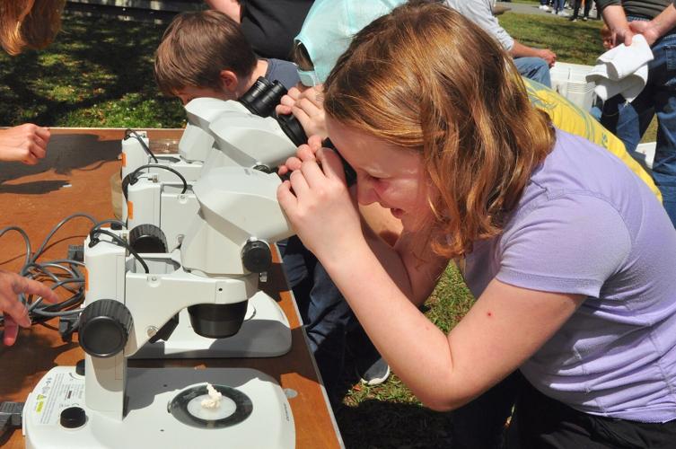 Elementary students visiting our table at the Earth Day celebrations at the Core Sound Waterfowl Museum &amp; Heritage Center this past Friday! For more see this linked article from the Carteret County News-Times: carolinacoastonline.com/news_times/art…