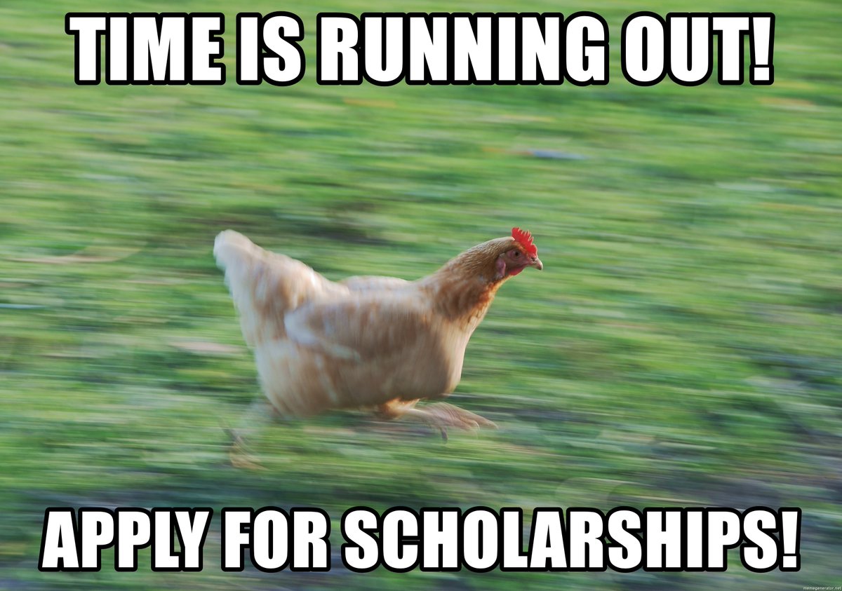 OLCHSStServices's tweet photo. @olchsseniors @olchsdaily @OLCHSNews 
Check the Scholarship Bulletin today!! https://t.co/XlffzVxJdj https://t.co/fsCrQtkSGL